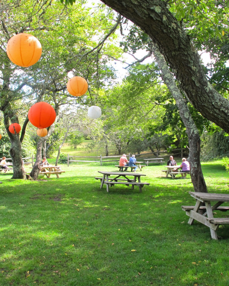  Lawn dinning at Something Natural 