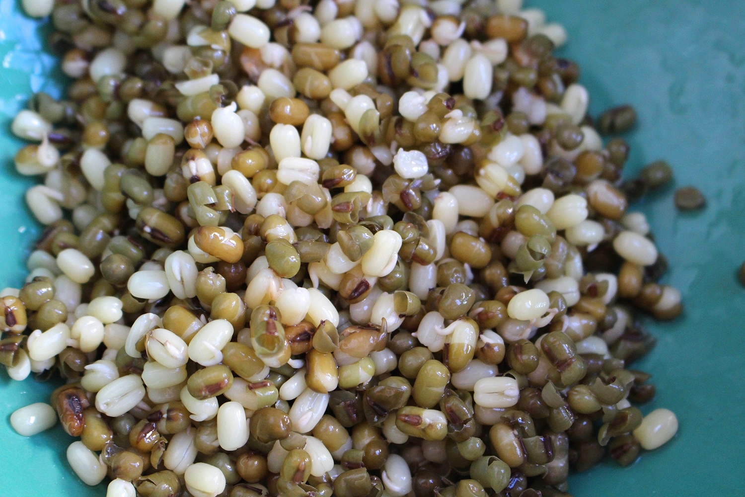  cooked mung beans