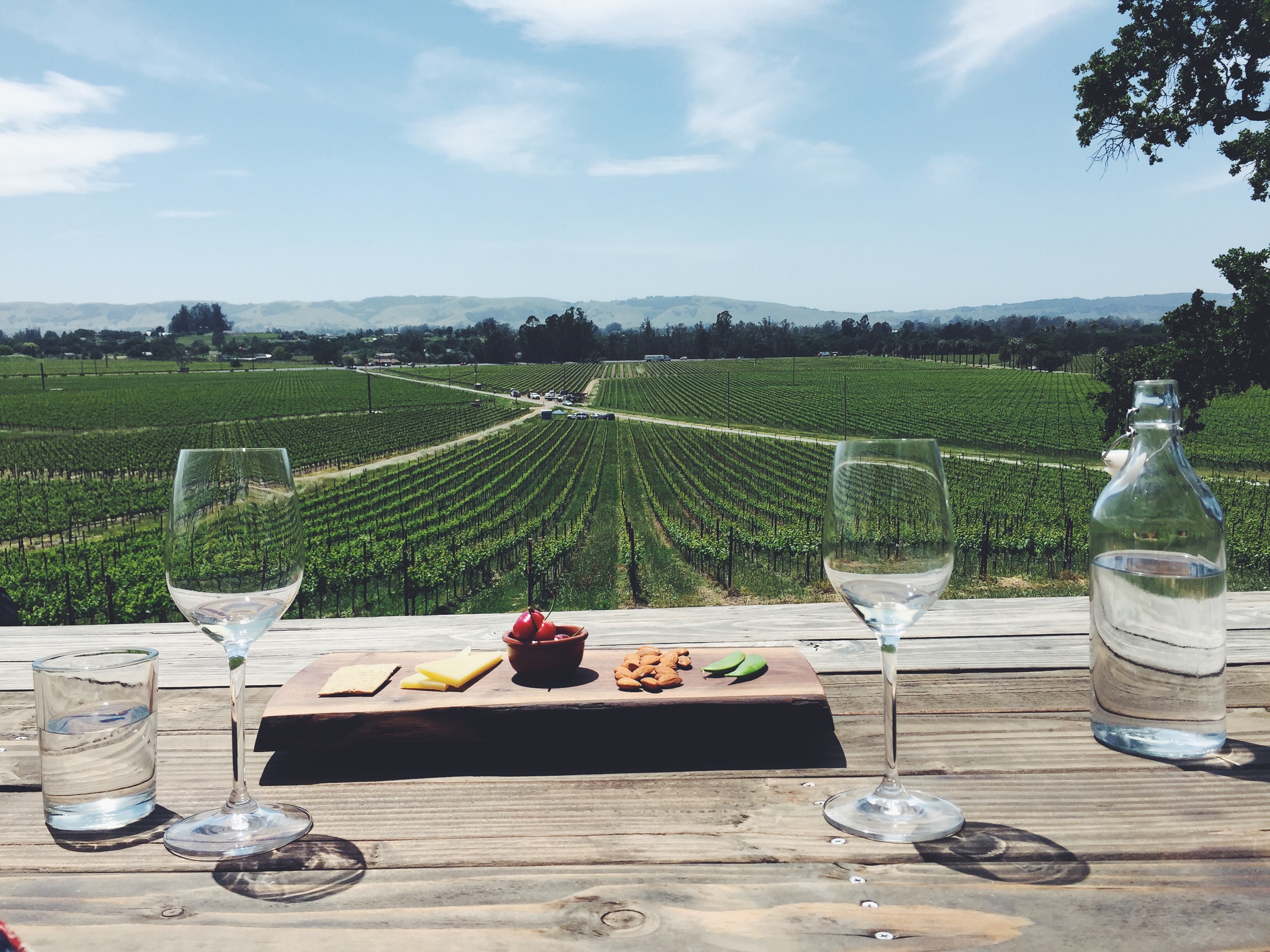 Scribe Winery