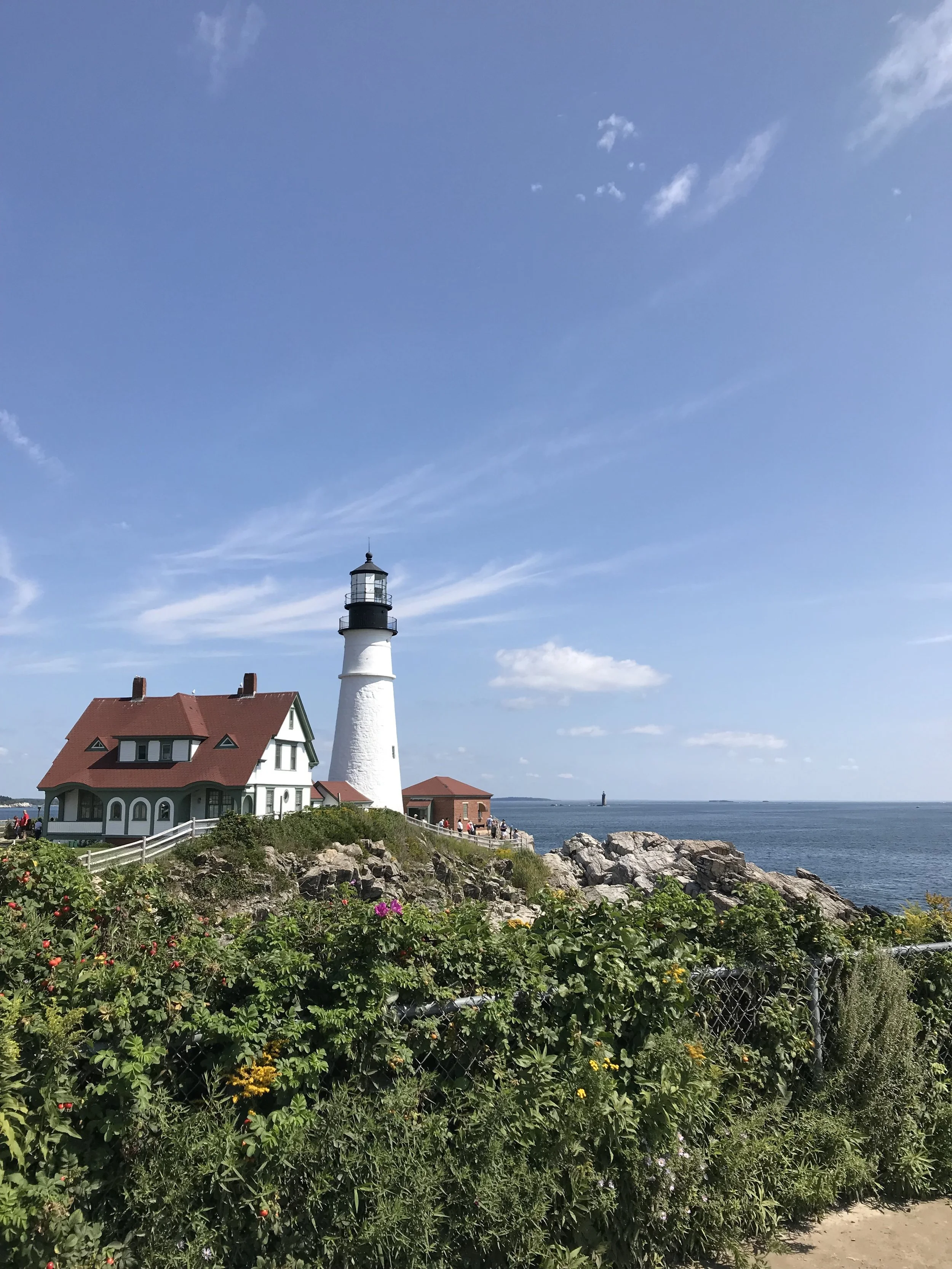 radish recs: maine *with a baby