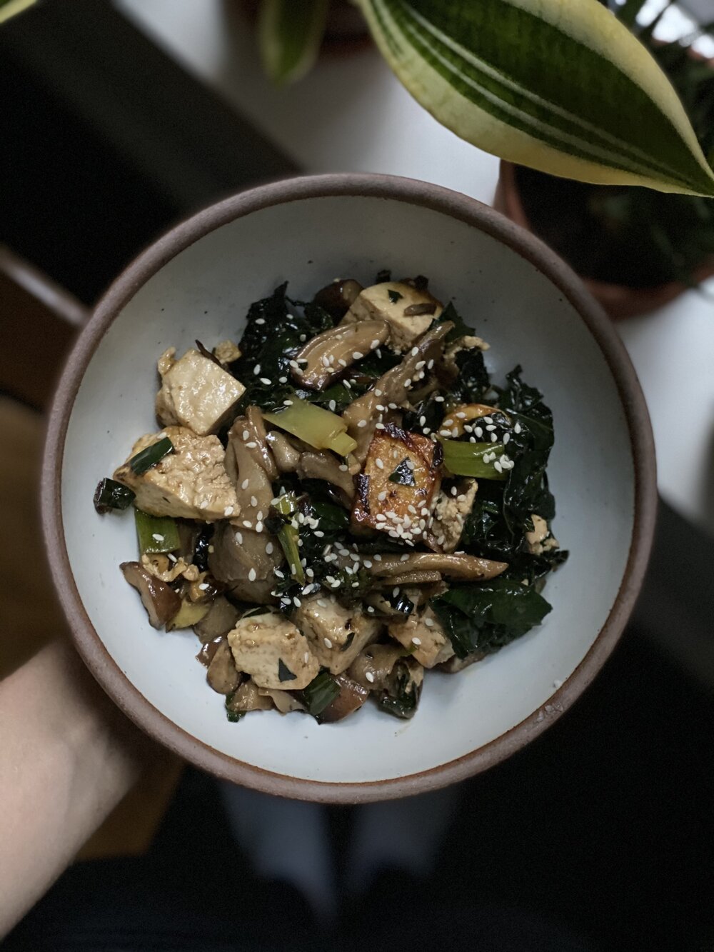 tofu mushroom stir-fry