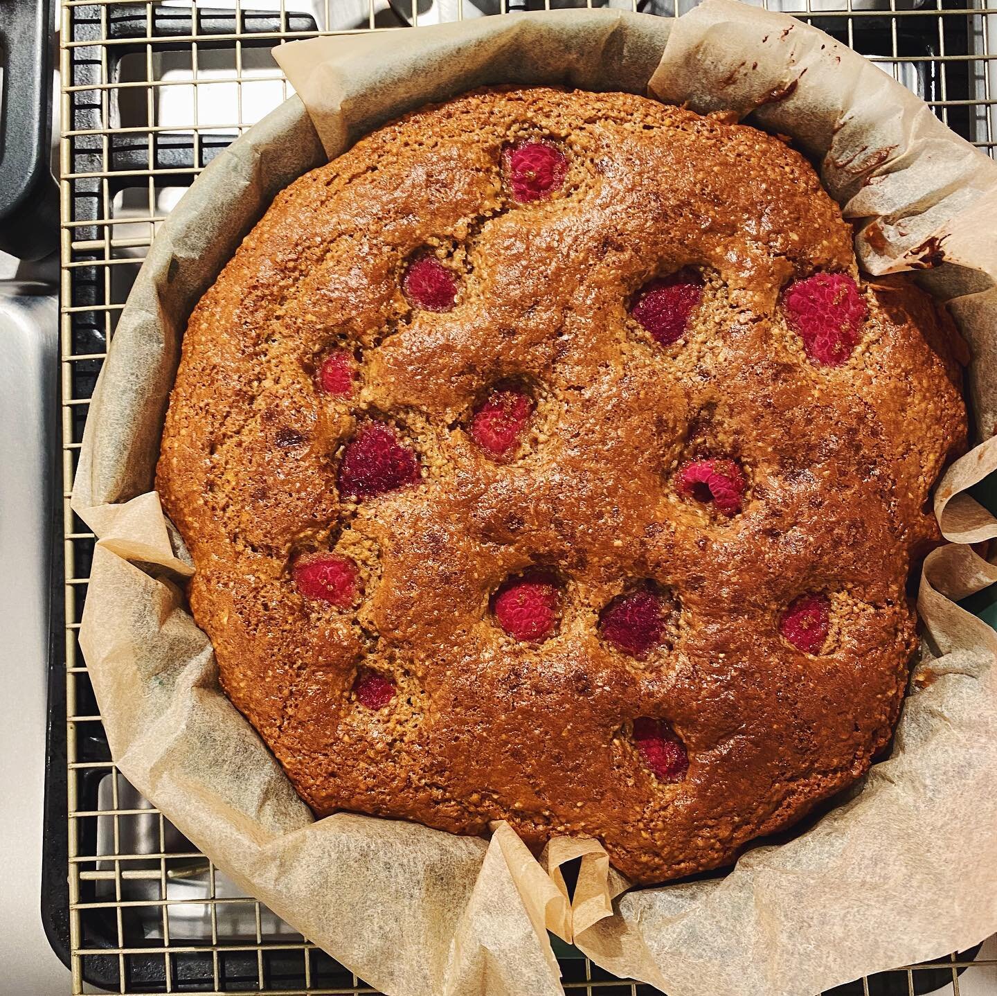 A roundup of some recent household hits. 
1) @yossyarefi lemon raspberry cornmeal cake 😋
2) @charliebirdnyc @clarkbar farro salad. A+ leftover lunch situation. 
3) @coluhenry shrimp, corn, and zucchini salad. Hello summer. 
4) @thisiskaychun honey s