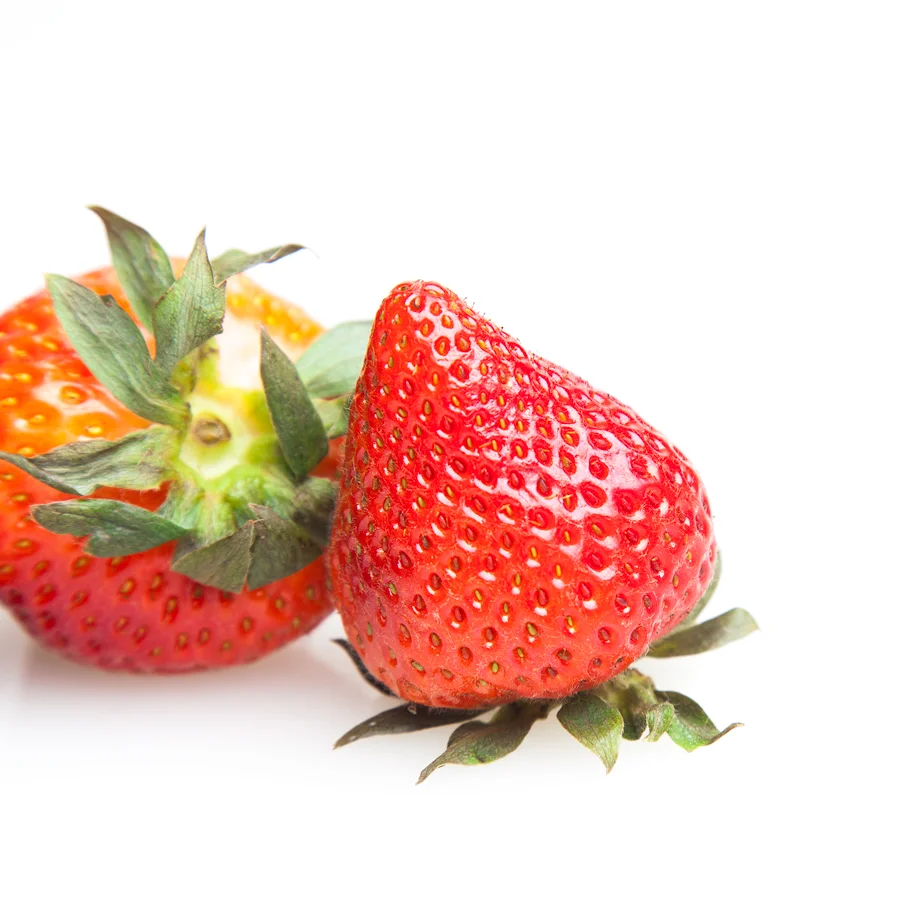 food_3999.jpg