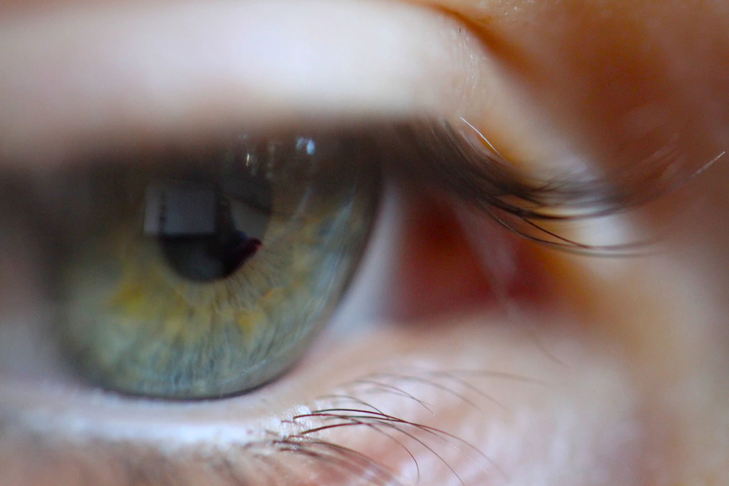 with my eye I select, with my hand I speak (2014)