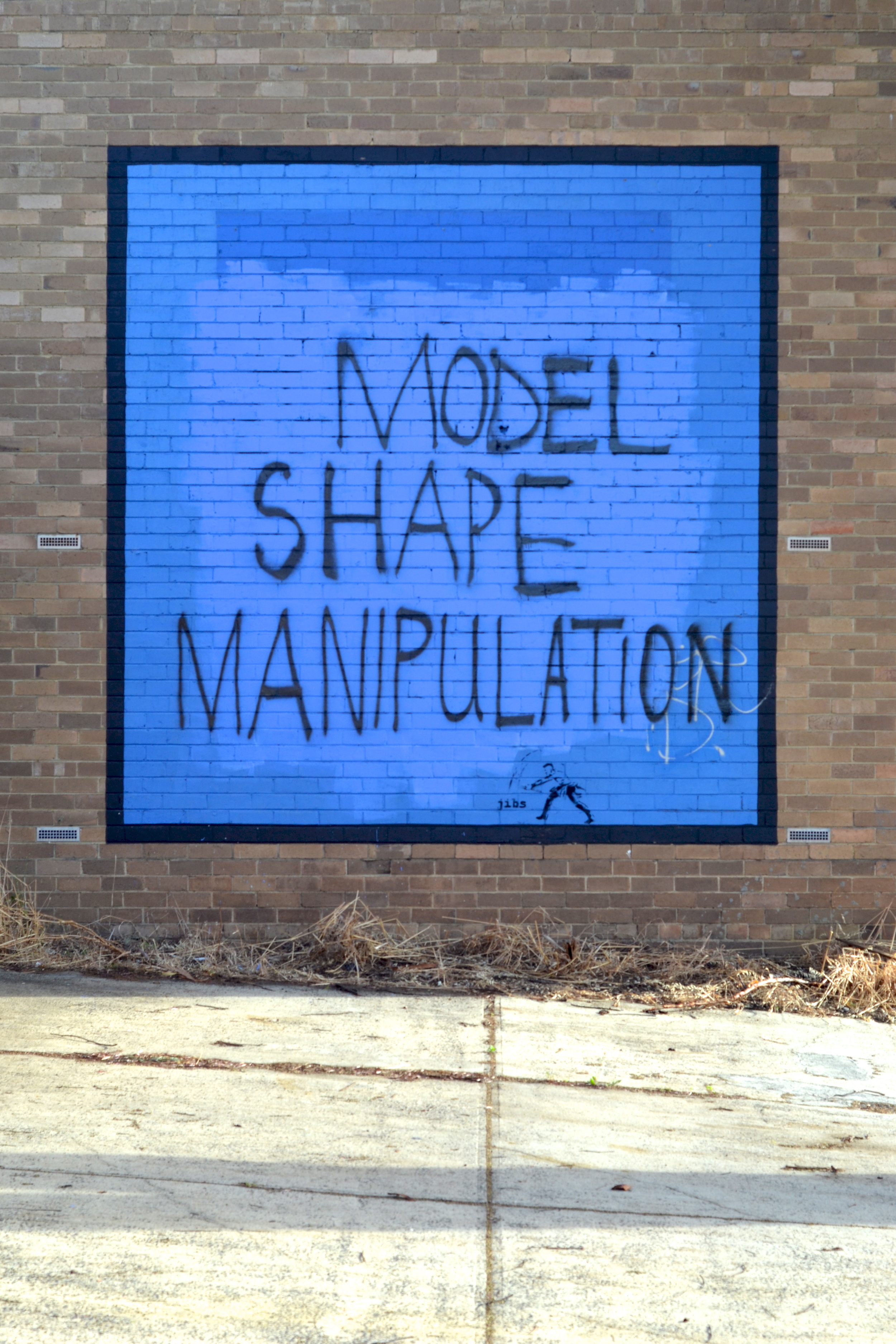 Model, Shape, Manipulate (2013)