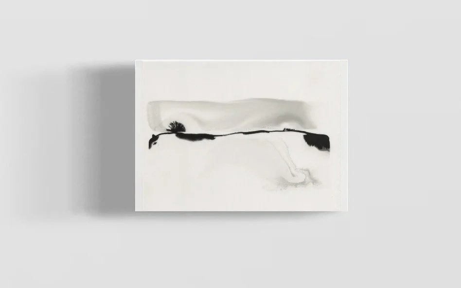 P31-AS84_breathe _ 12-17_026a.jpeg