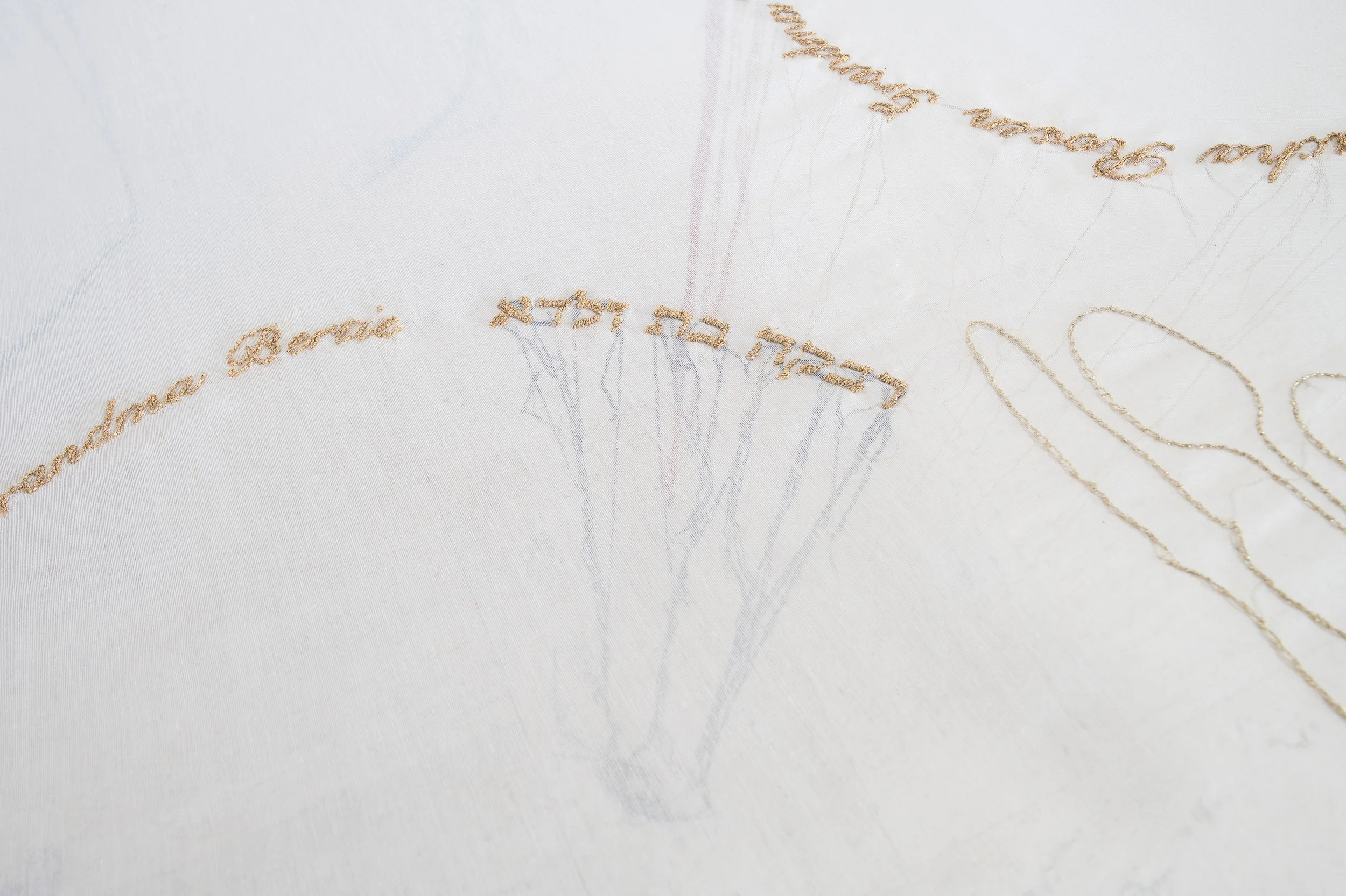 My great grandmother's plate, Grandma Bertie