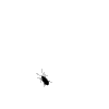 picture-610228-1456493309.gif