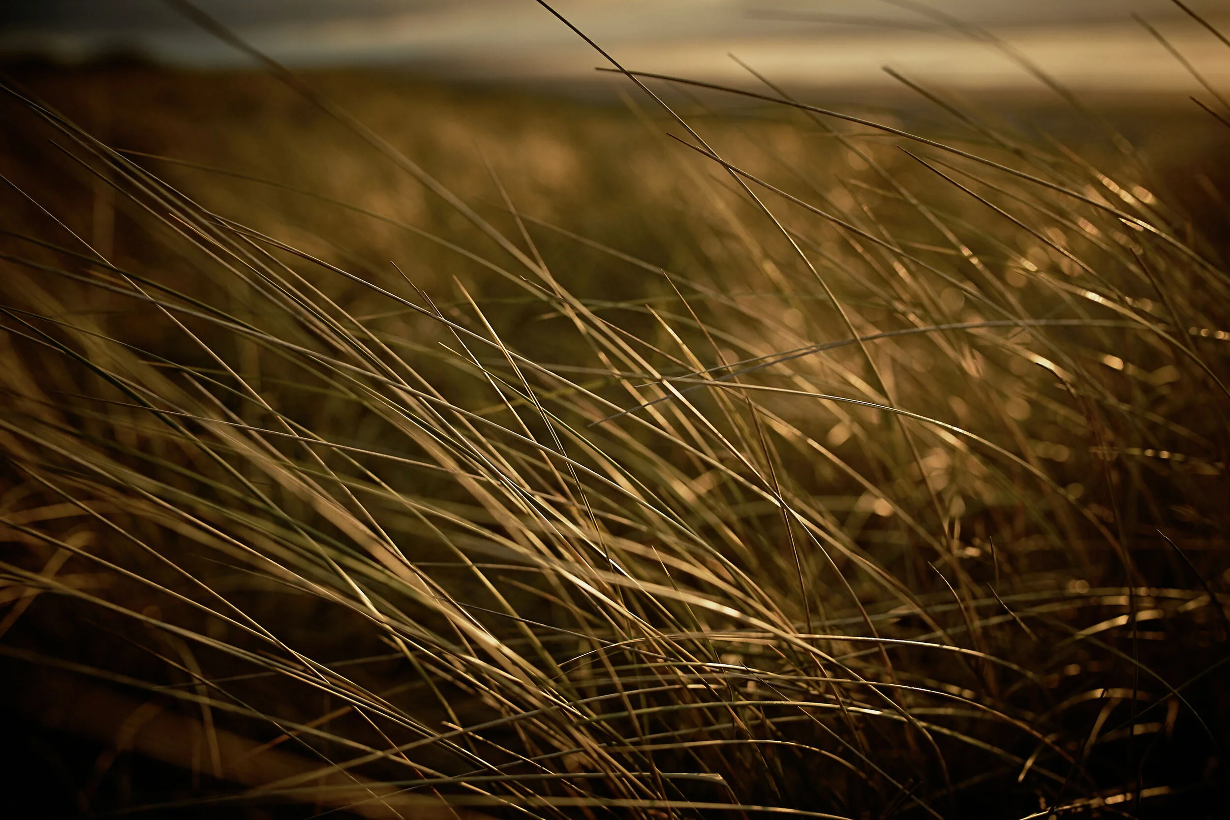 Irland_Stefan Hohloch_Fotograf_Stuttgart_005.jpg