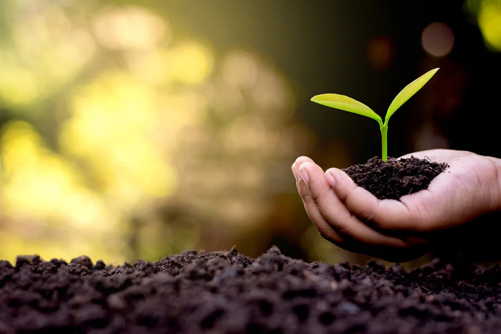 Hand-giving-life-to-plant.jpg