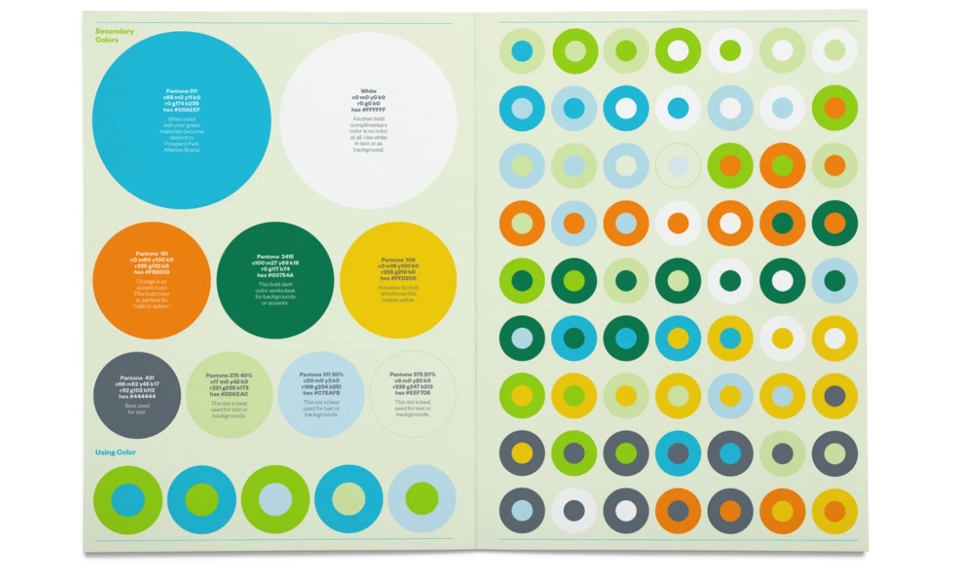 PPA_Guidelines_ColorSecondaryB.jpg