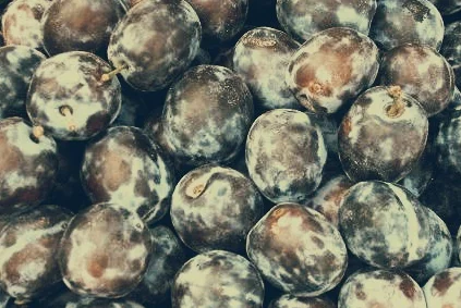 Damson.jpg