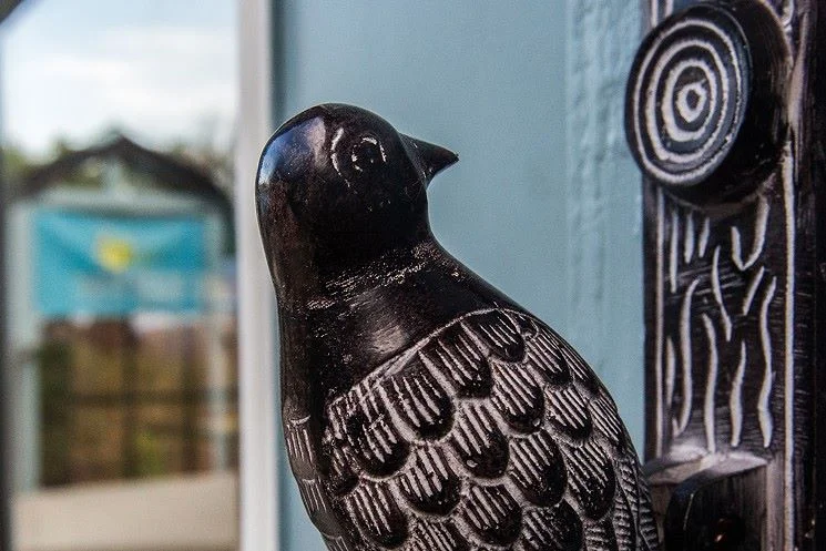 bird.jpg