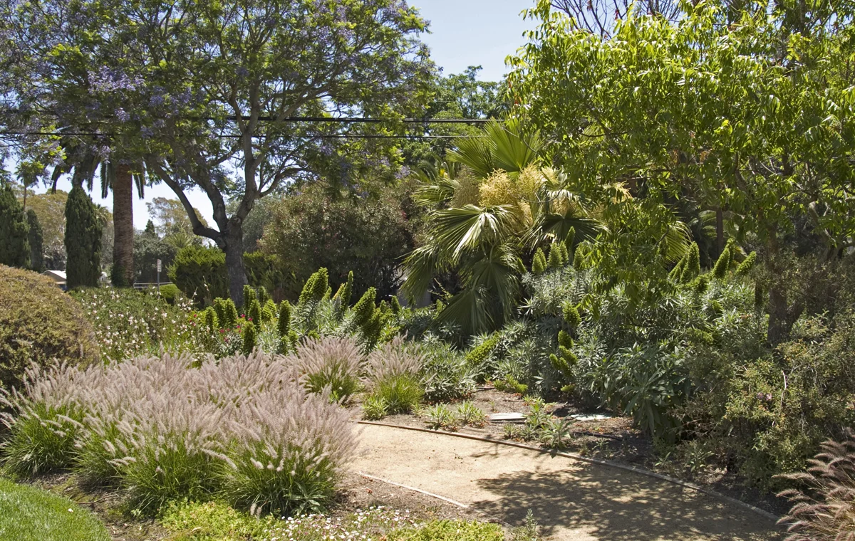 Enviroscaping President Lalo Mora collaborated with a landscape architect and SBCC horticulturists to install the demonstration garden at the Goleta Water District headquarters on Hollister Avenue. Visitors are provided a map of the garden’s various “living rooms” and allowed to wander through and get ideas about landscaping with drought-resistant plants suitable for our local climate. Enviroscaping also maintains these gardens and the district office landscaping.