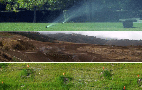 Enviroscaping offers the right water solution for the job, including: (top) pop-up sprinklers for residential community green space;(middle) temporary above-ground lines installed as part restoration work at the San Marcos Preserve; (bottom) and drip irrigation lines at a native-plant restoration site.