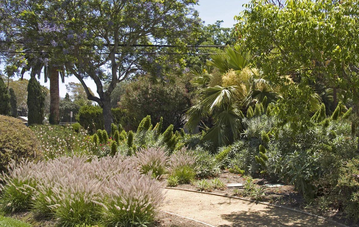 The drought-resistant demonstration garden at the Goleta Water District headquarters received two-Goleta Valley Beautiful Awards for beauty and function. Enviroscaping President, Lalo Mora received the 1999 Goleta Water District Commendation for his contribution to the installation of the educational garden.