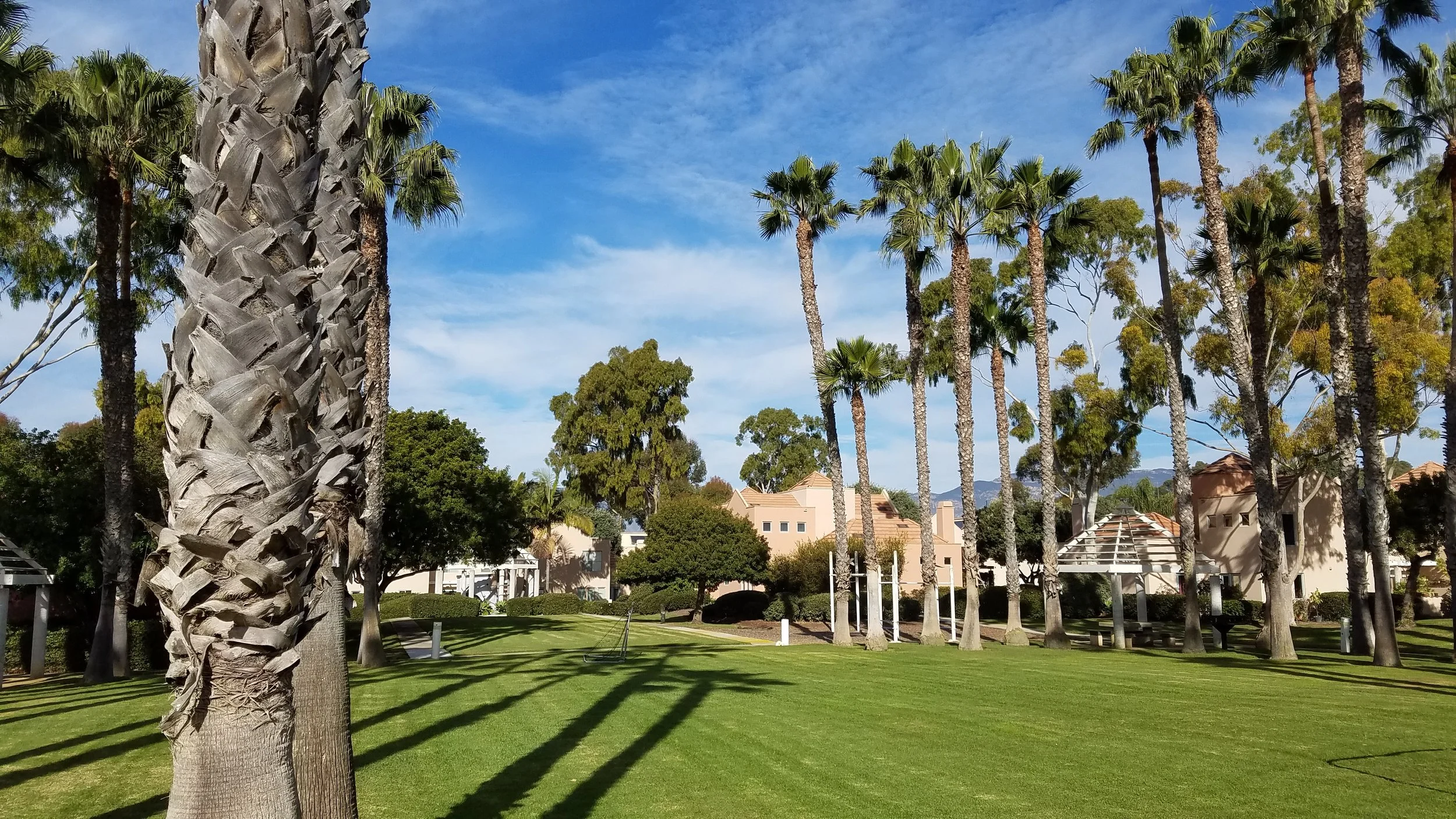 West Campus Point HOA