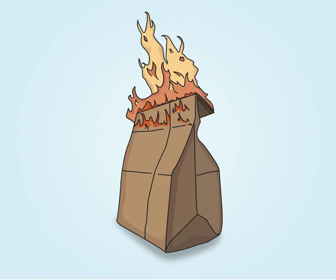 flamingbag_01.jpg