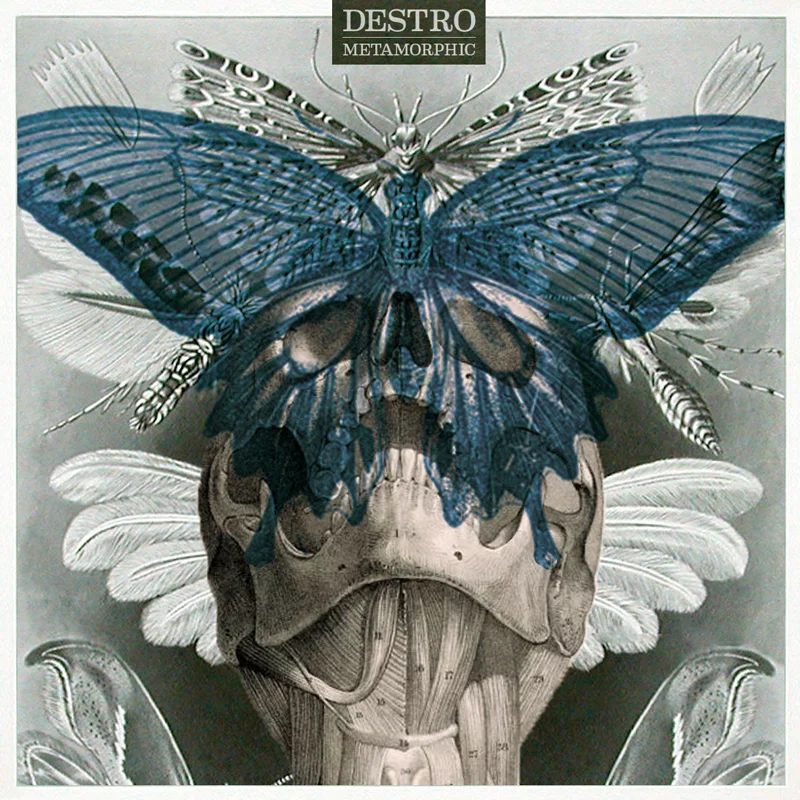 METAMORPHIC-COVER-(800px).jpg