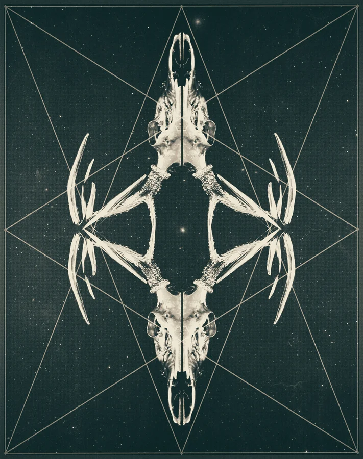 Anteocularis-II--(13x17 web preview).jpg