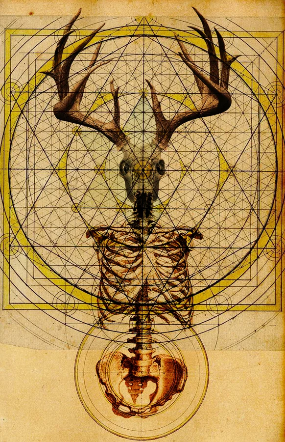 Anteocularis-V-(11x17 web preview).jpg