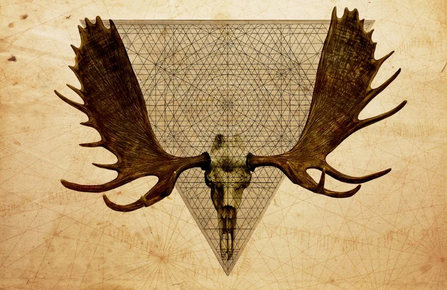 Anteocularis VI (17x11 web preview).jpg