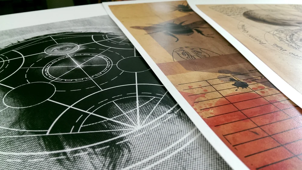 Print Peek 1.jpg