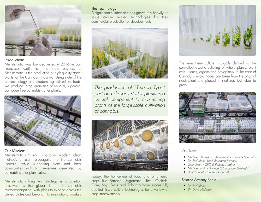 Meristematic-TriFold-(Inside-Revised-Preview).jpg