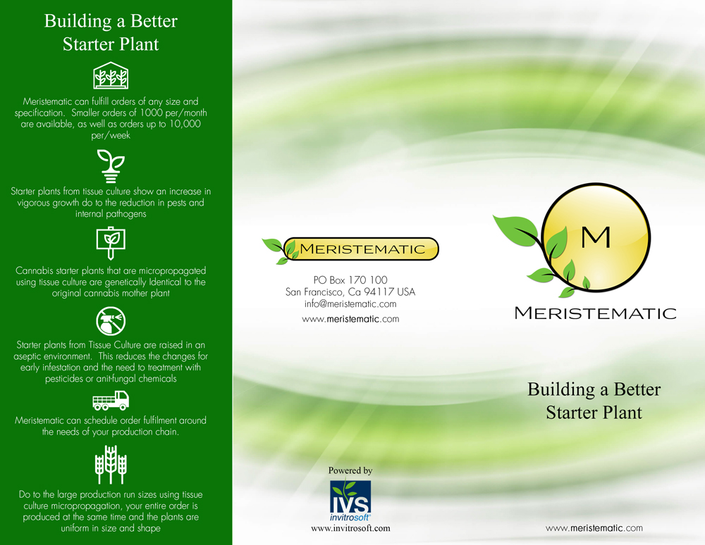 Meristematic-TriFold-(Outside-Revised-Preview).jpg