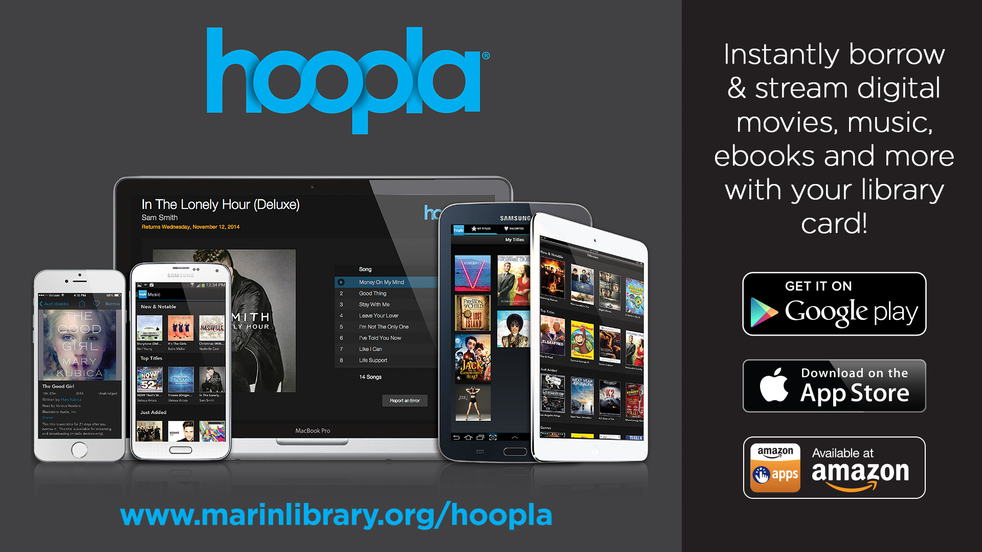 Hoopla-Firesign-(Landscape).jpg