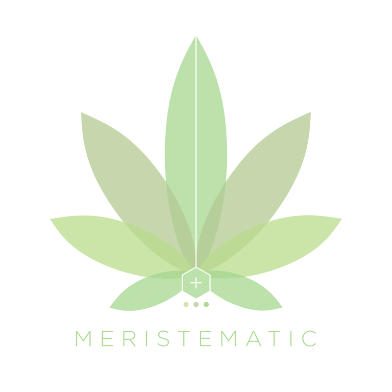 Meristmatic-2019-Logo-(Revision).jpg