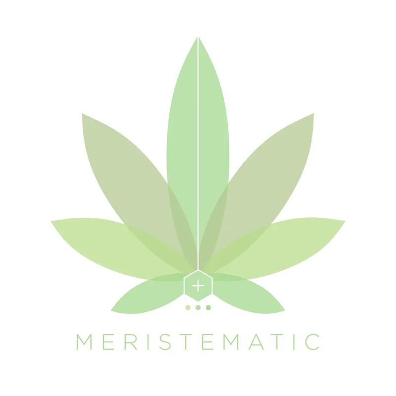 Meristmatic-2019-Logo-(Revision).jpg