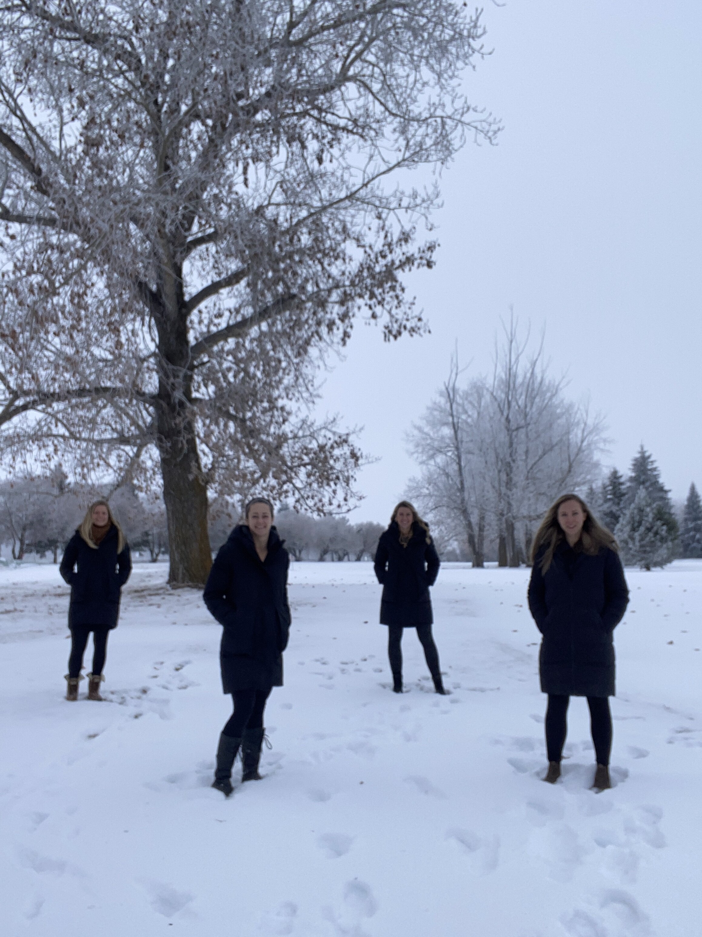 Team Mid-Season Update