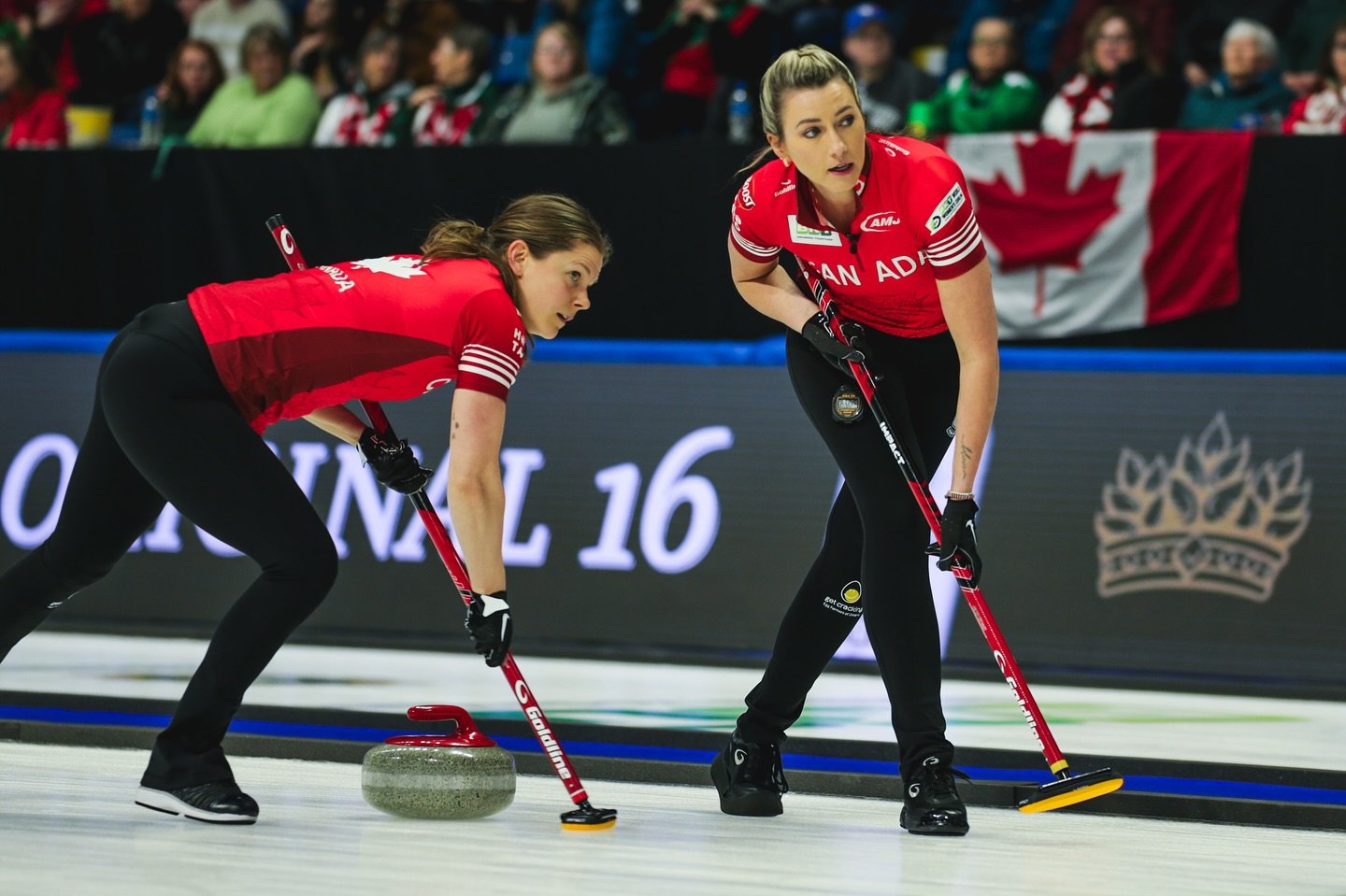 The new @goldlinecurling x @team_homan commercial spot 👀 📺 👉🏻

What do you think? ⬇️

#goldline #teamhoman #itsagoldline #choiceofchampions
