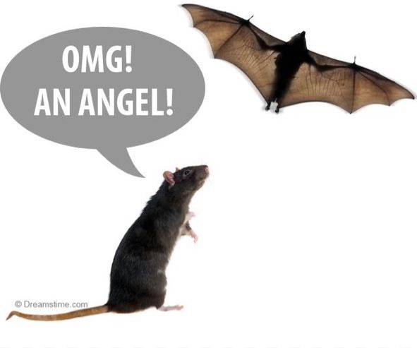 ¡Oh Dios Mío! ¡Un ángel!