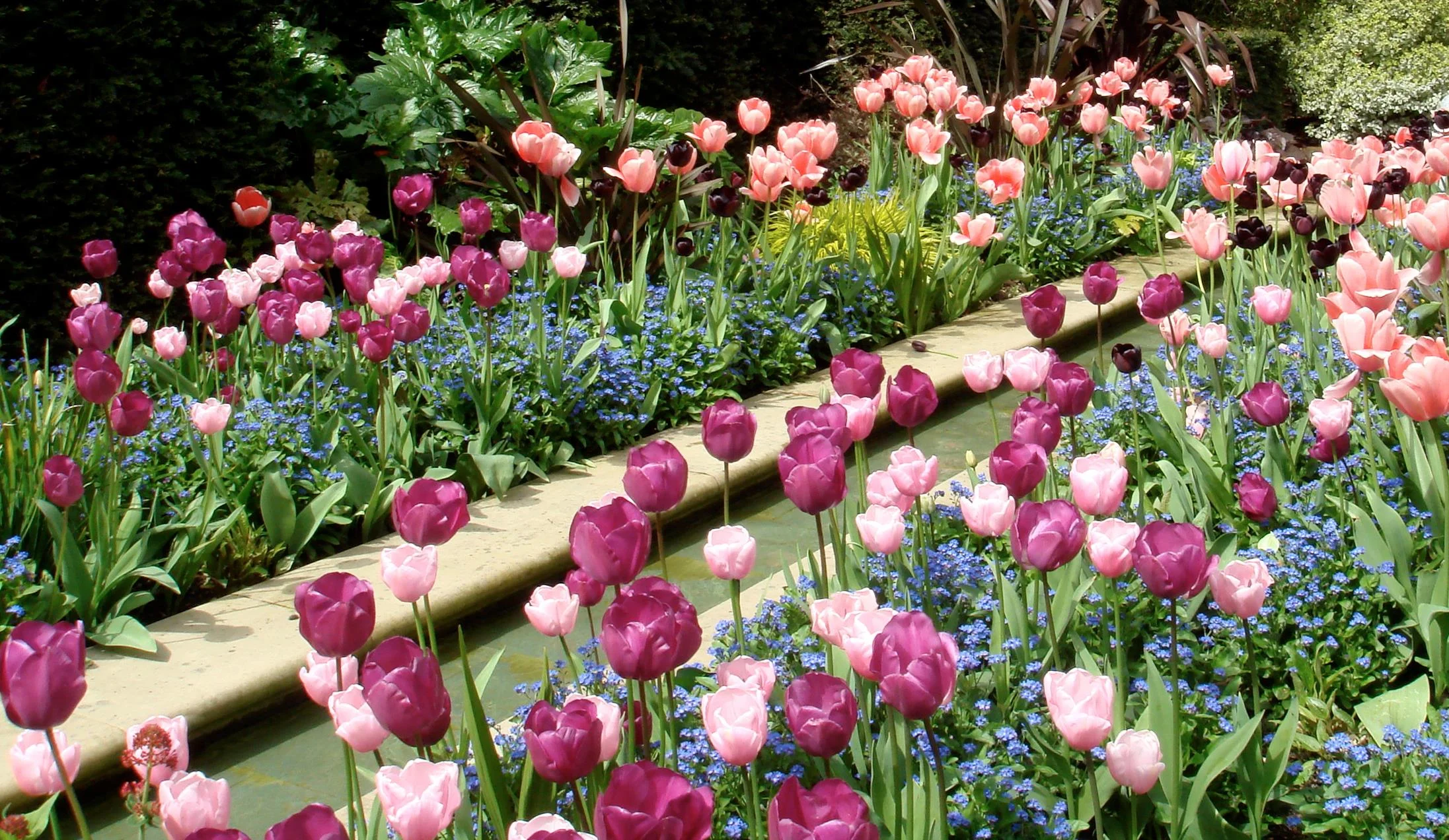 DSC00554_3[1] - 1.jpg