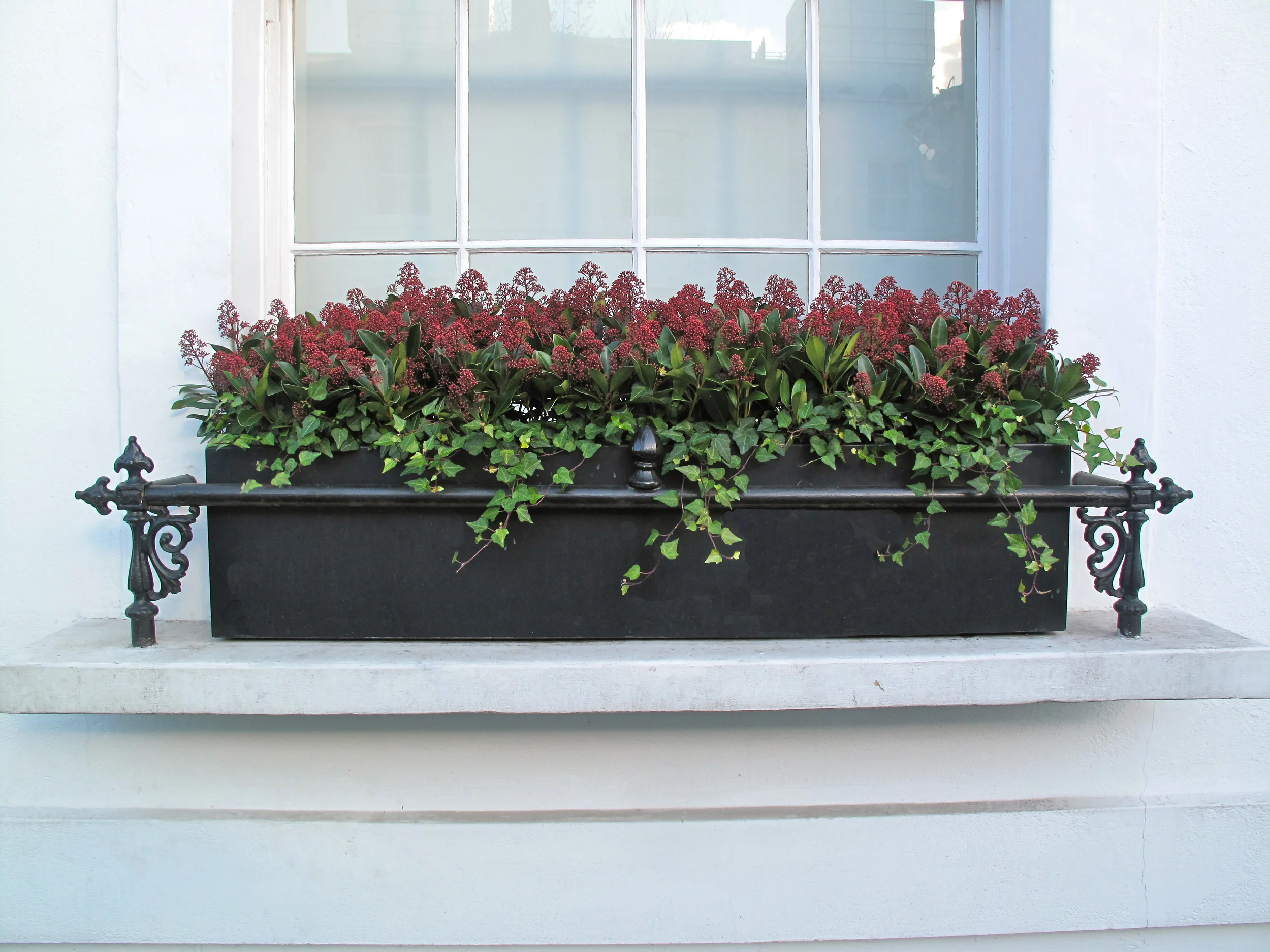 window box.jpg
