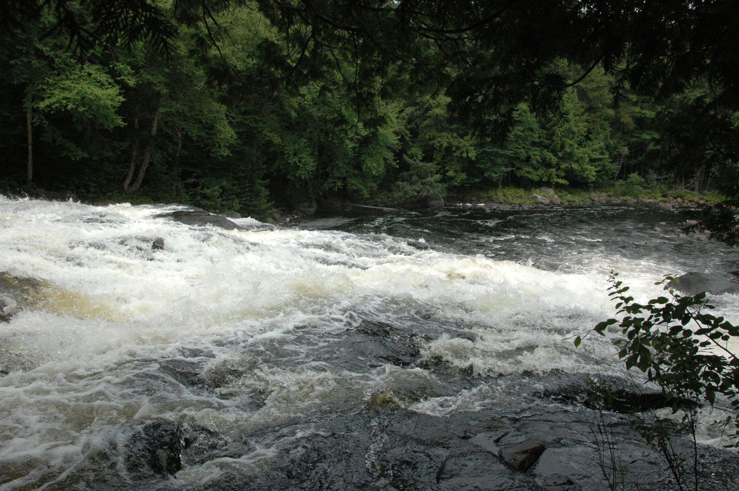 DSC_0128.JPG