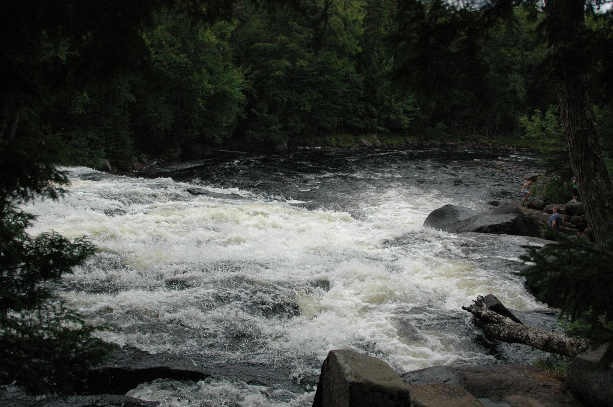 DSC_0209.JPG