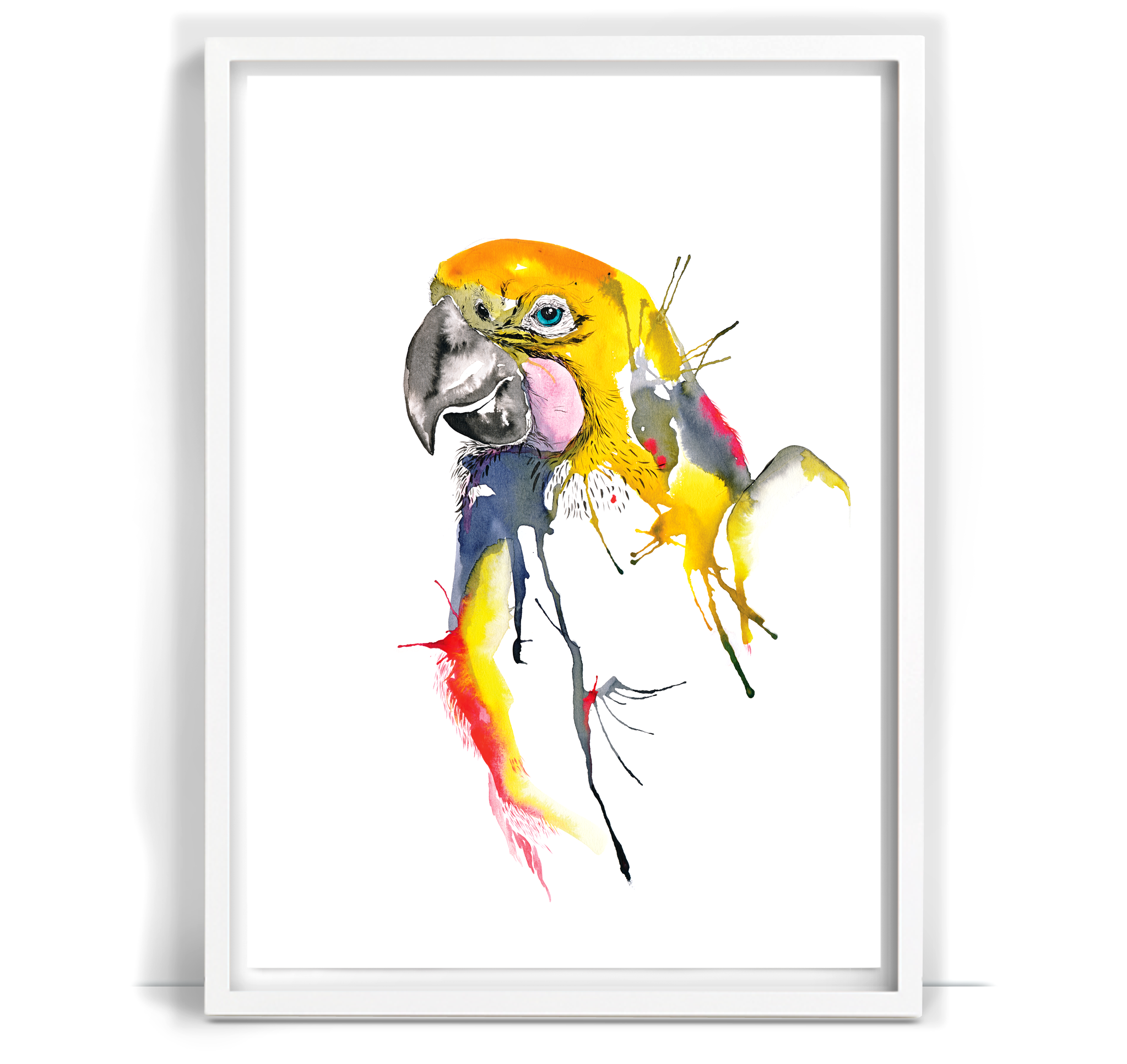 Parrot_22_A3.png