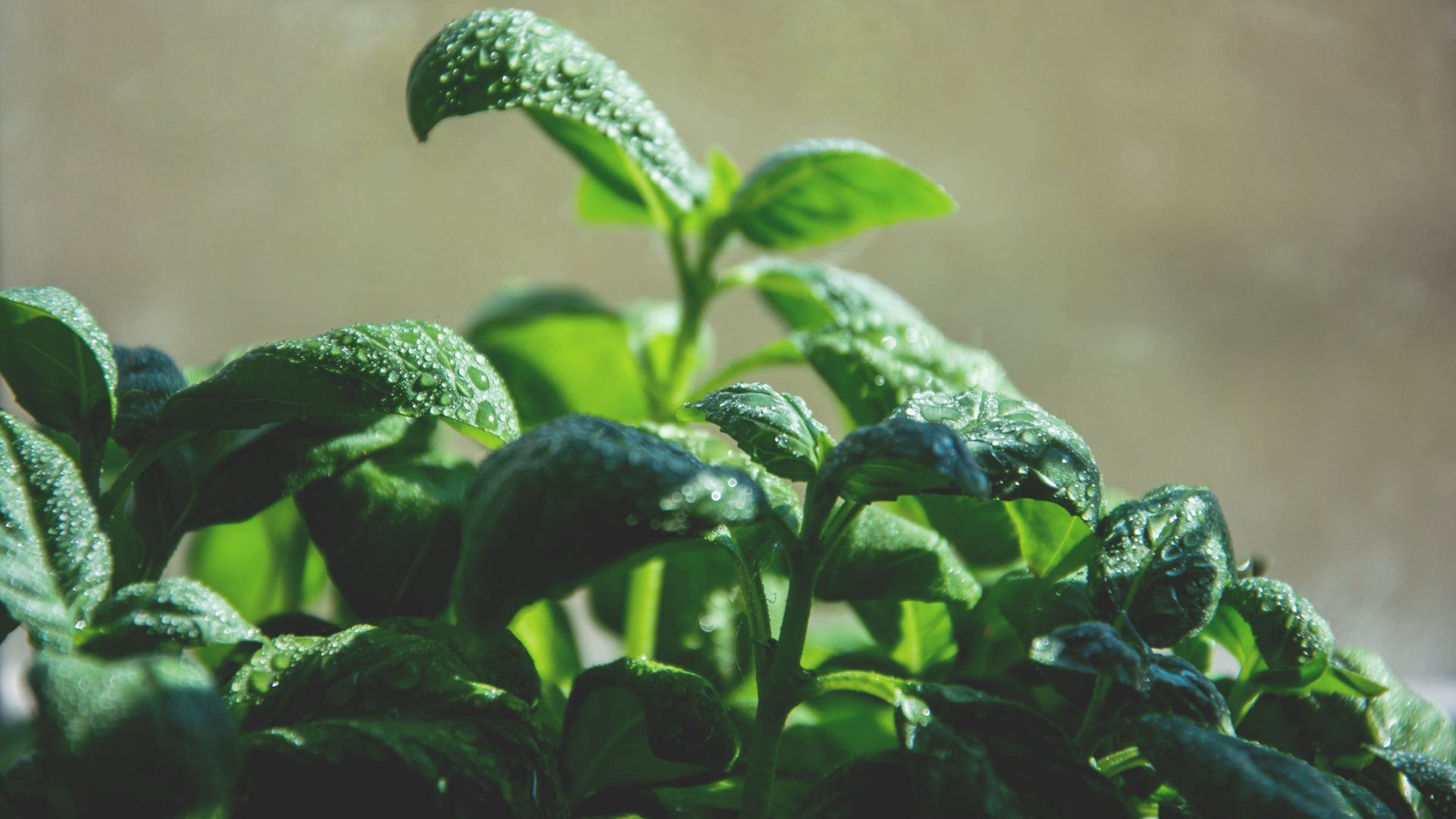 Photo Credit: Arunas Naujokas via Unsplash