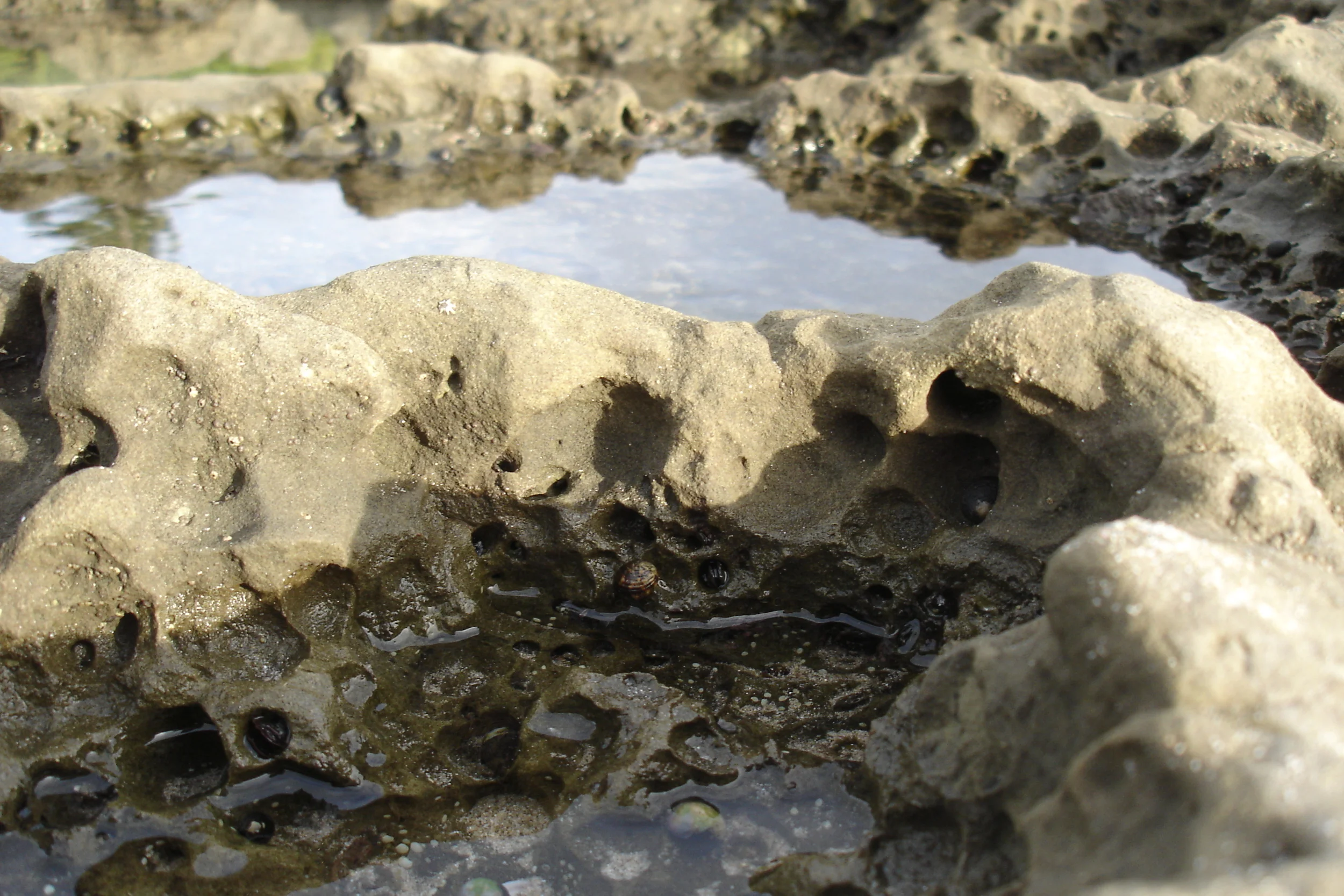 Costa Rica MiniScape 1