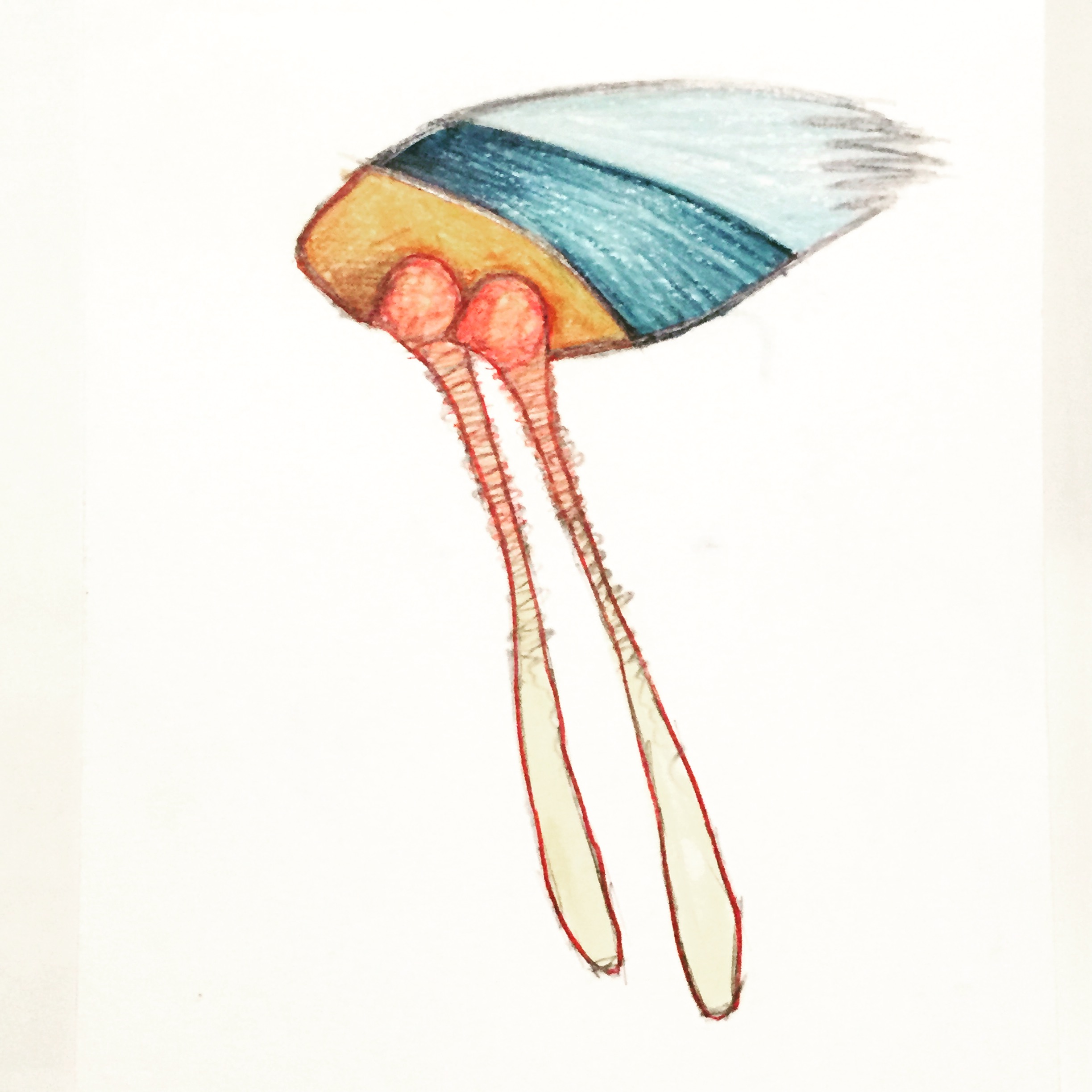 Drawing July 2015