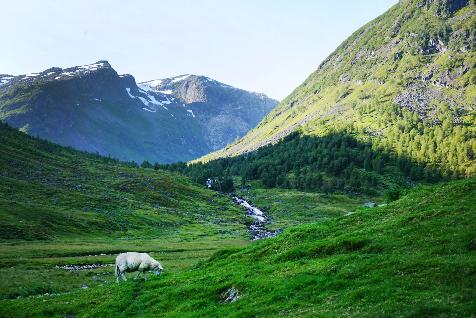 Anestølen_sommer2.jpg