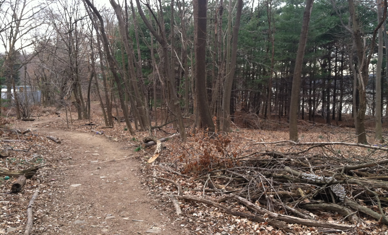The Bronx's Riverside Park, not nearly as picturesque. (Photo: Rich Bunnell)