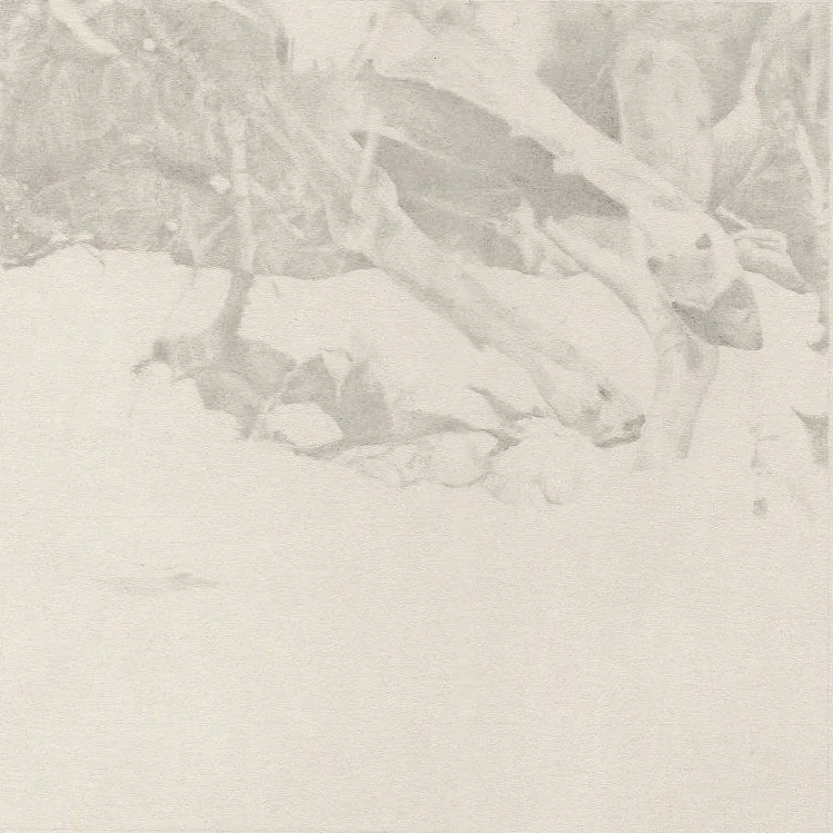 The Coachlight Woods Released Mar. 4, 2008. “If there was ever a sonic documentation of solidarity in the desert, The Coachlight Woods is it. It draws on so much of its surrounding environment: the space, the desert winds, the withdrawal from society. Glowworm excel in minimal, droning electronica. Songs like “Lux’, “Periphescence’ and the Boards of Canada-esque “Contralis’ are simultaneously pensive and melancholy. Each track is built on beds of ambient synths that are garnished with droplets of glockenspiel, lackadaisical drumming and eroded tape samples…The pull and push of the song echoes the feelings throughout an album that can only be described as a beautiful and accomplished debut offering.” - Cyclic Defrost