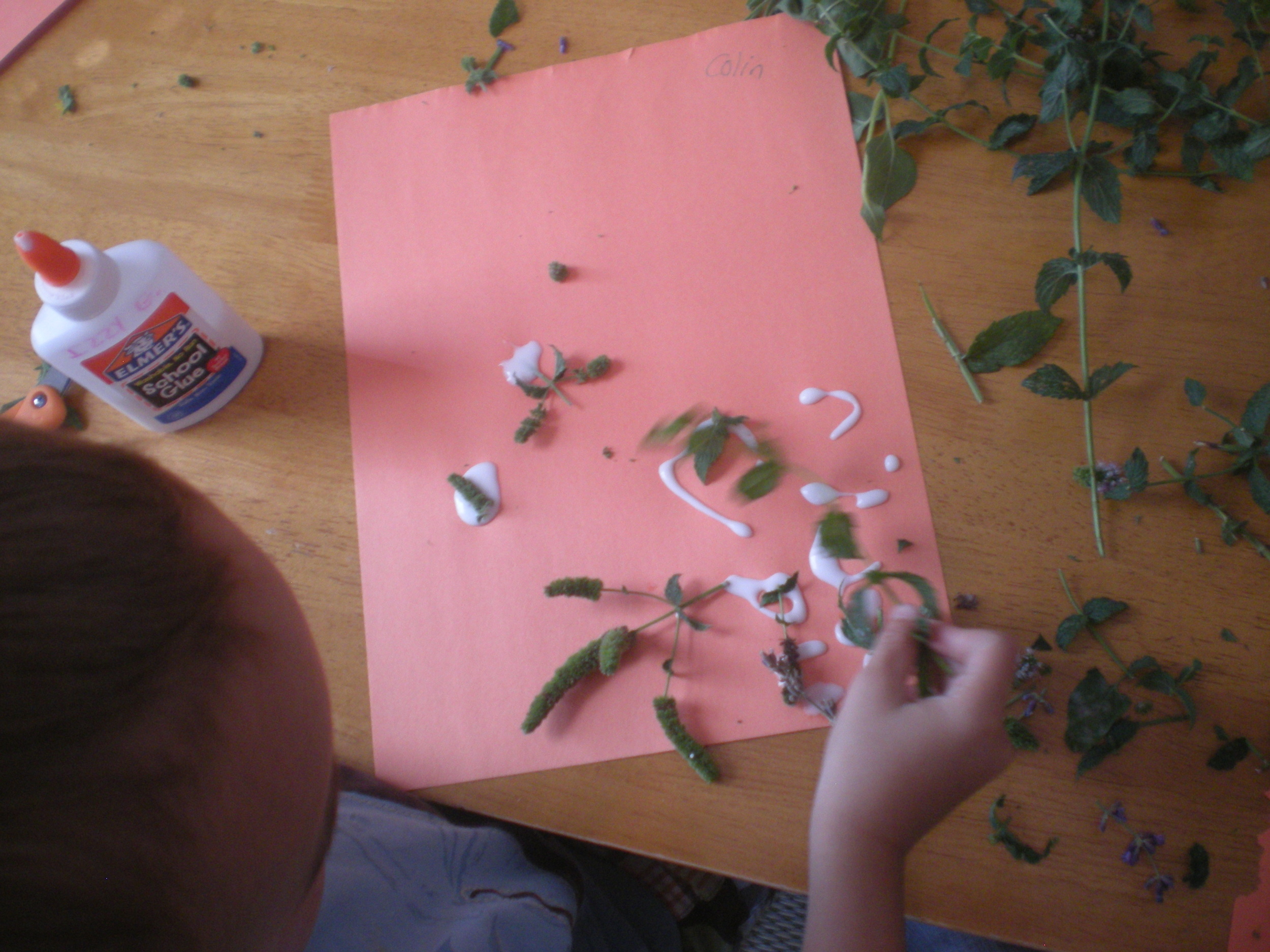 Playing With Peppermint Herbs For Kids — Mama Rosemary