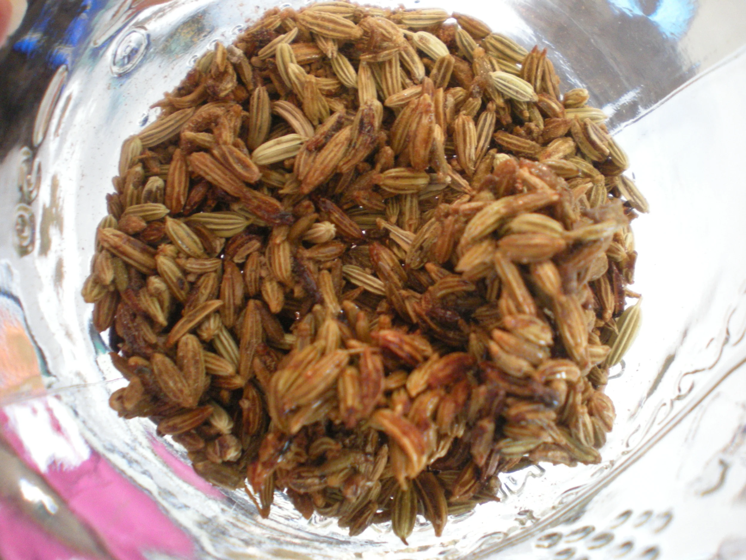 Fennel Babies On Fennel Day Herbs For Kids — Mama Rosemary