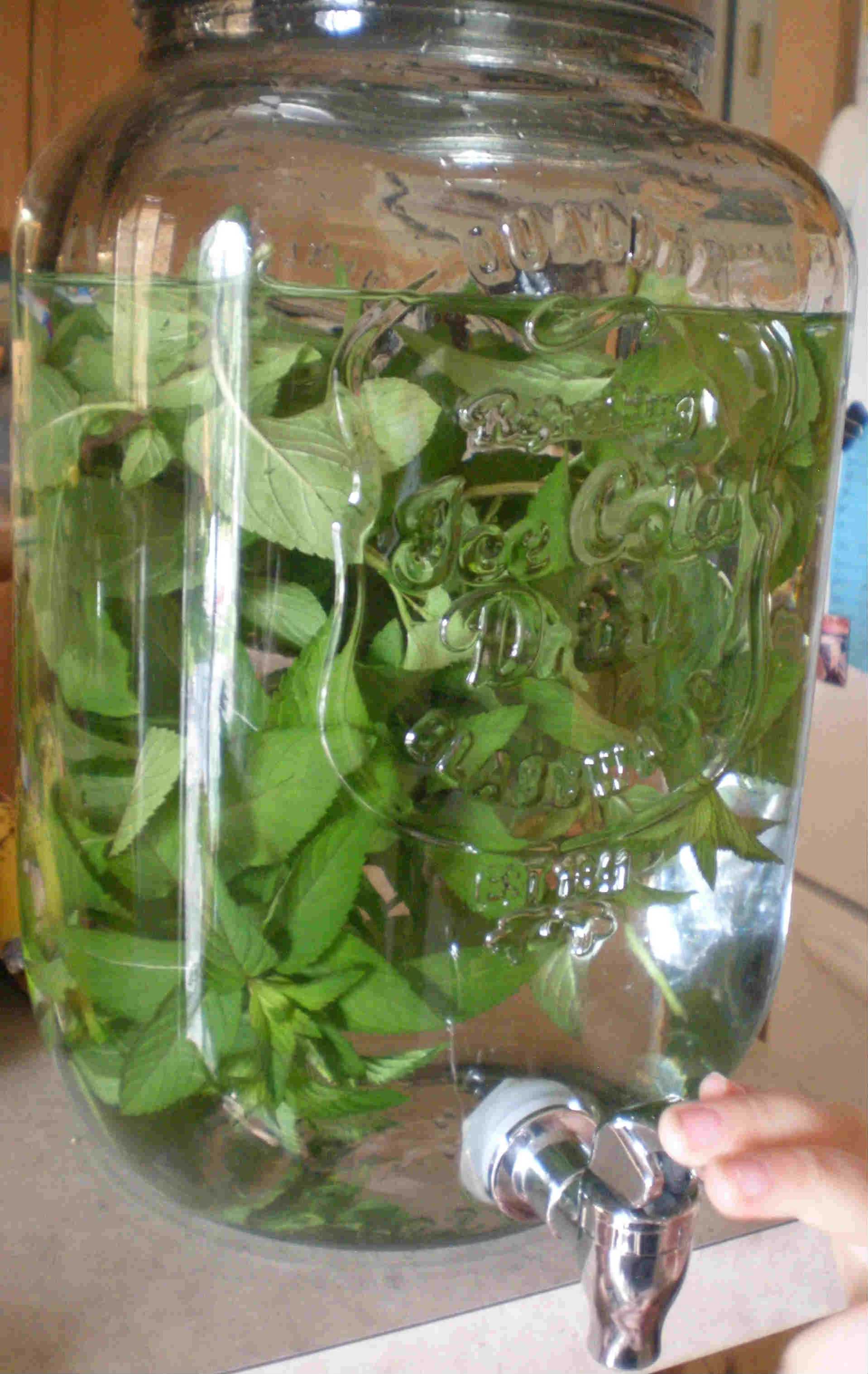 Pepperminty Mint!