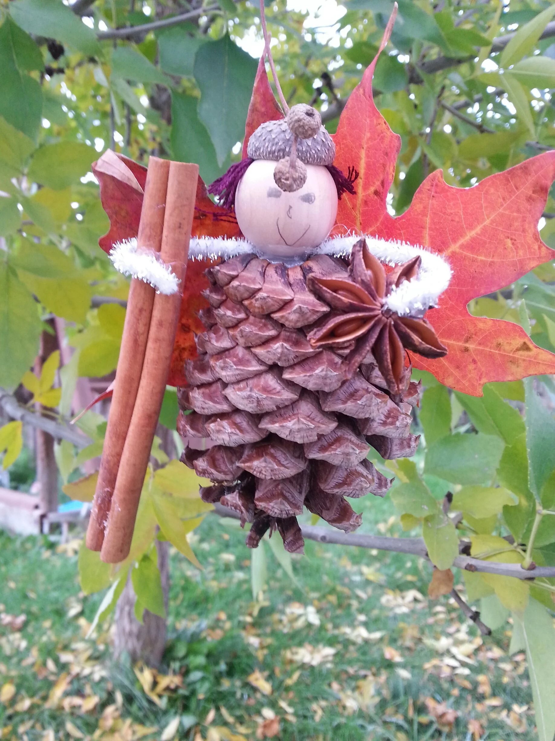 20131014_172907_resized.jpg
